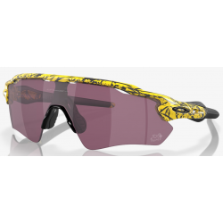 Oakley Radar EV Path TDF Splatter lente Prizm Road Black OO9208-e838