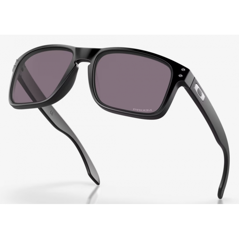 Oakley Holbrook Matte Black lentille Prizm Grey OO9102-E855 - Expédition 24h