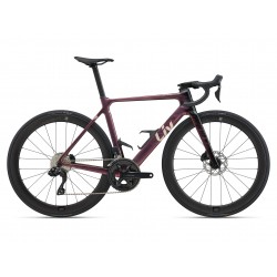 Liv Enviliv Advanced 1 2025 - envío 24h - consulta nuestros precios