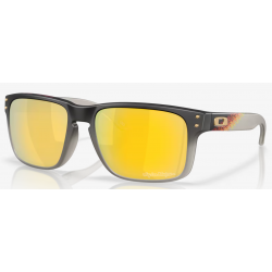 Oakley Holbrook Troy Lee Designs Noir Dégradé lentille prizm 24k polarisée
