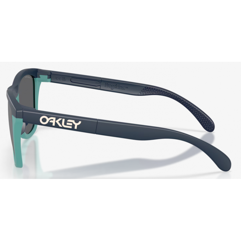 Oakley Frogskins Gamme mat abyss lentille prizm noir OO9284-1755