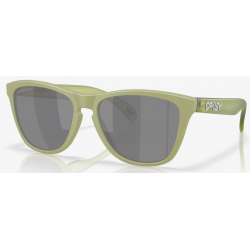 Oakley Frogskins mat fer lentille prizm noir polarisée OO9013-M255