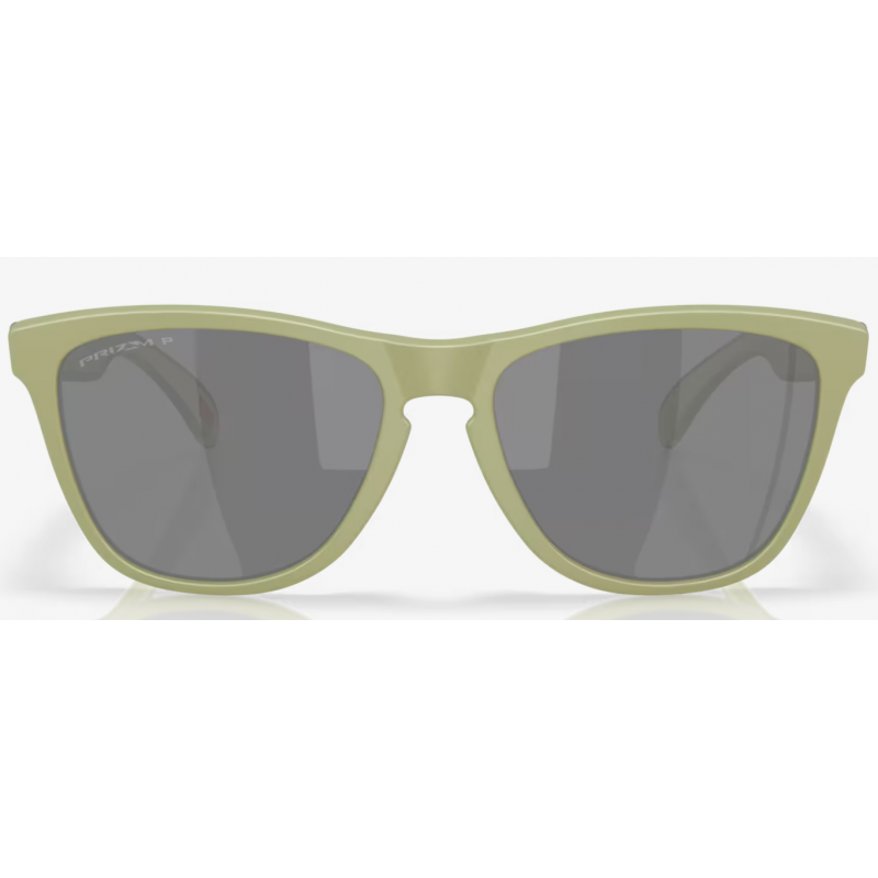 Oakley Frogskins mat fer lentille prizm noir polarisée OO9013-M255
