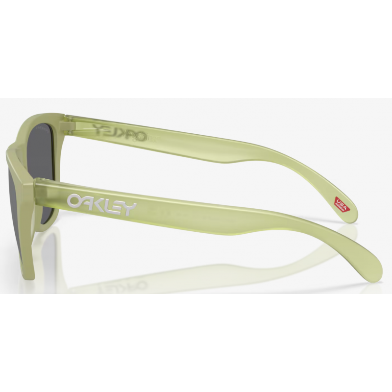 Oakley Frogskins mat fer lentille prizm noir polarisée OO9013-M255