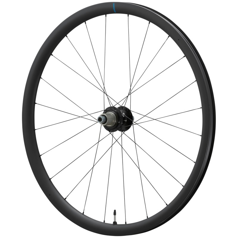 Shimano Grx WH-RX880-TL Carbon Centerlock Micro Spline paire de roues