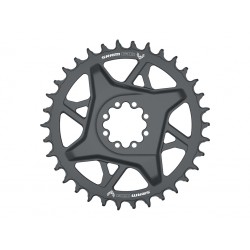 Sram Gx Eagle T-Type Direct Mount 12V Offset 3mm 34D plateau - expédition 24h