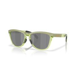 Oakley Frogskins Range XL mat fougère/transparent fougère Lentille prizm noir
