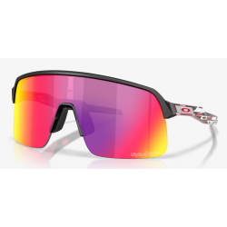 Oakley Sutro Lite Troy Lee Designs Series lunettes Prizm Road 9463B7