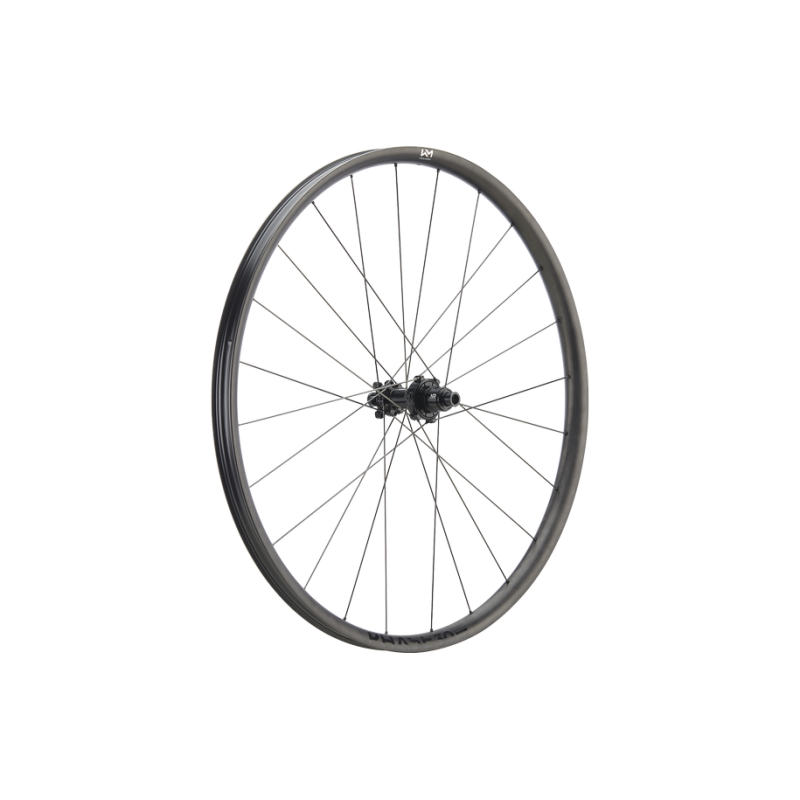 Newmen Phase 30 Light 29" Dégradé 6 Vis | Roues XC Carbone 1150 g