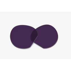 Oakley Meta HSTN Lentilles Transitions Améthyste - expédition 24h