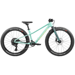 Orbea Kimu 24 H10 2027 | Vélo Enfant MTB 24" - Livraison 24h