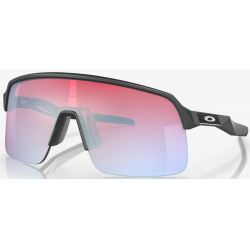 Oakley Sutro Lite Matte Carbon lente Prizm Snow Sapphire OO9463-1739